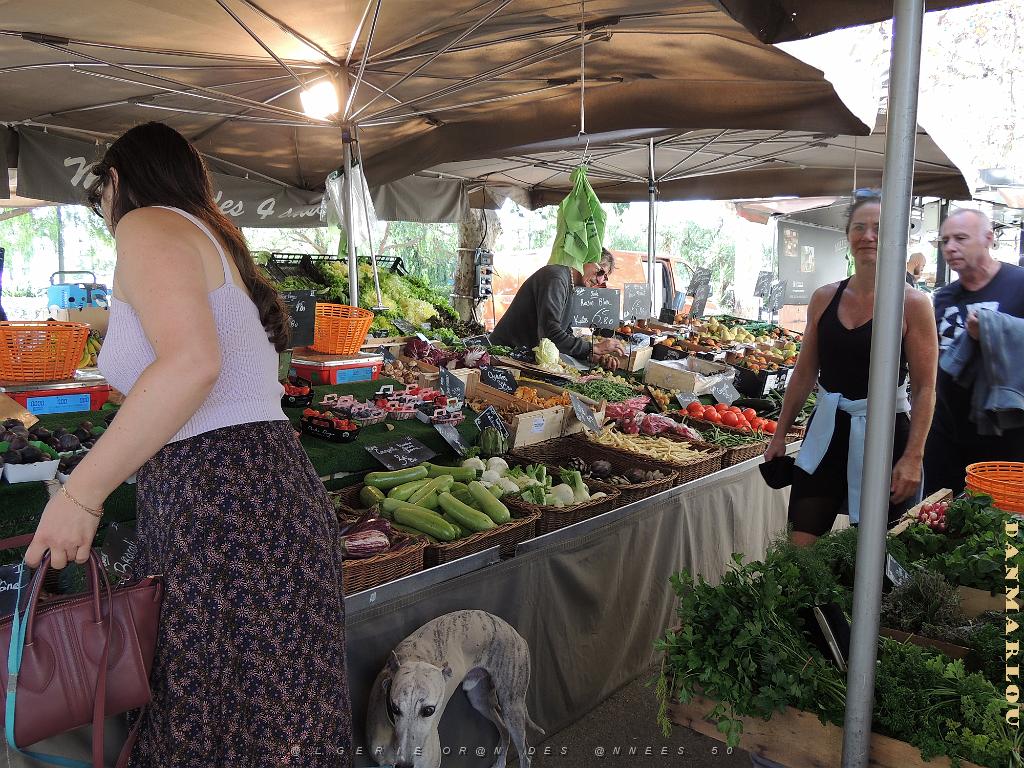 2024 11 02 EN FLANANT SUR SANARY (36).jpg